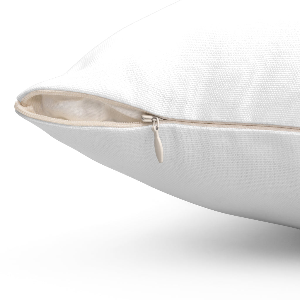 BL Throw Pillow